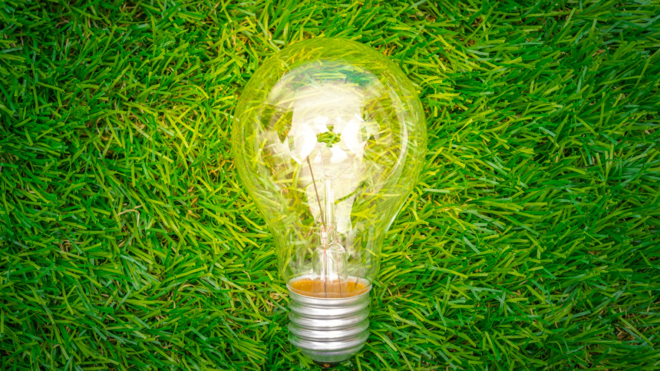 eco-concept-light-bulb-grow-in-the-grass (1)