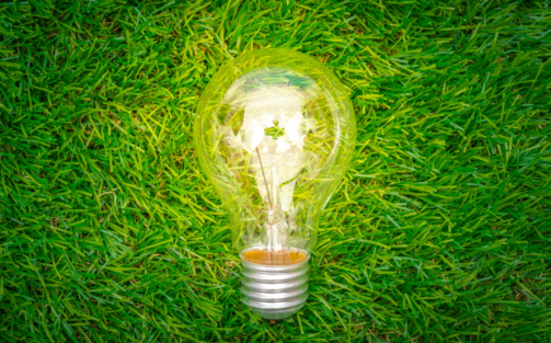 eco-concept-light-bulb-grow-in-the-grass (1)